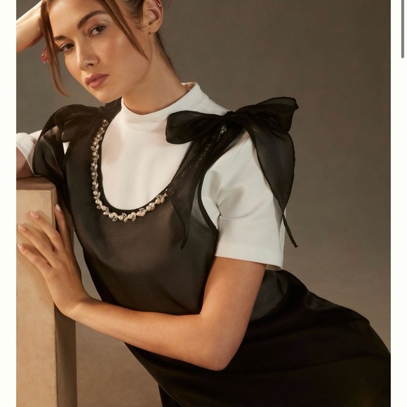 Anthropologie Maeve Sheer Tunic - Picture 4 of 9